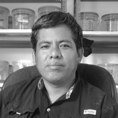 Ing. José Luis Juarez
