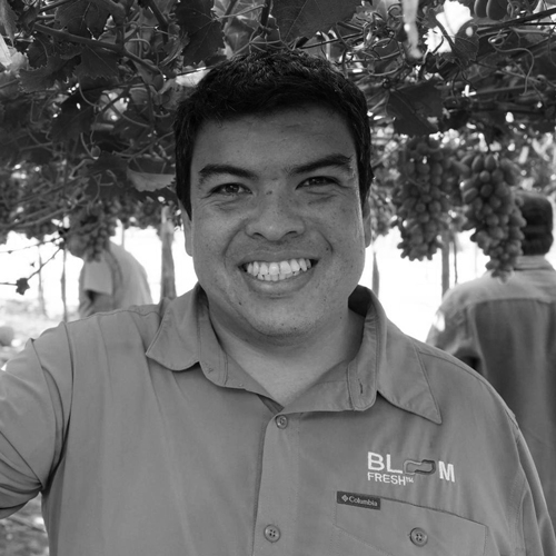 Osvaldo Ormazábal Hernández